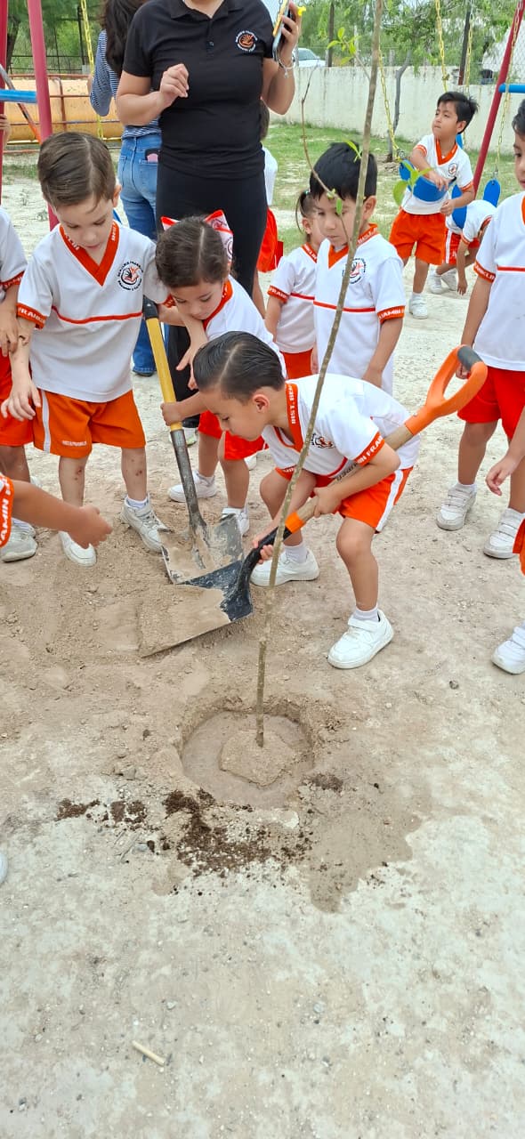 Reforestación de Árboles 2026