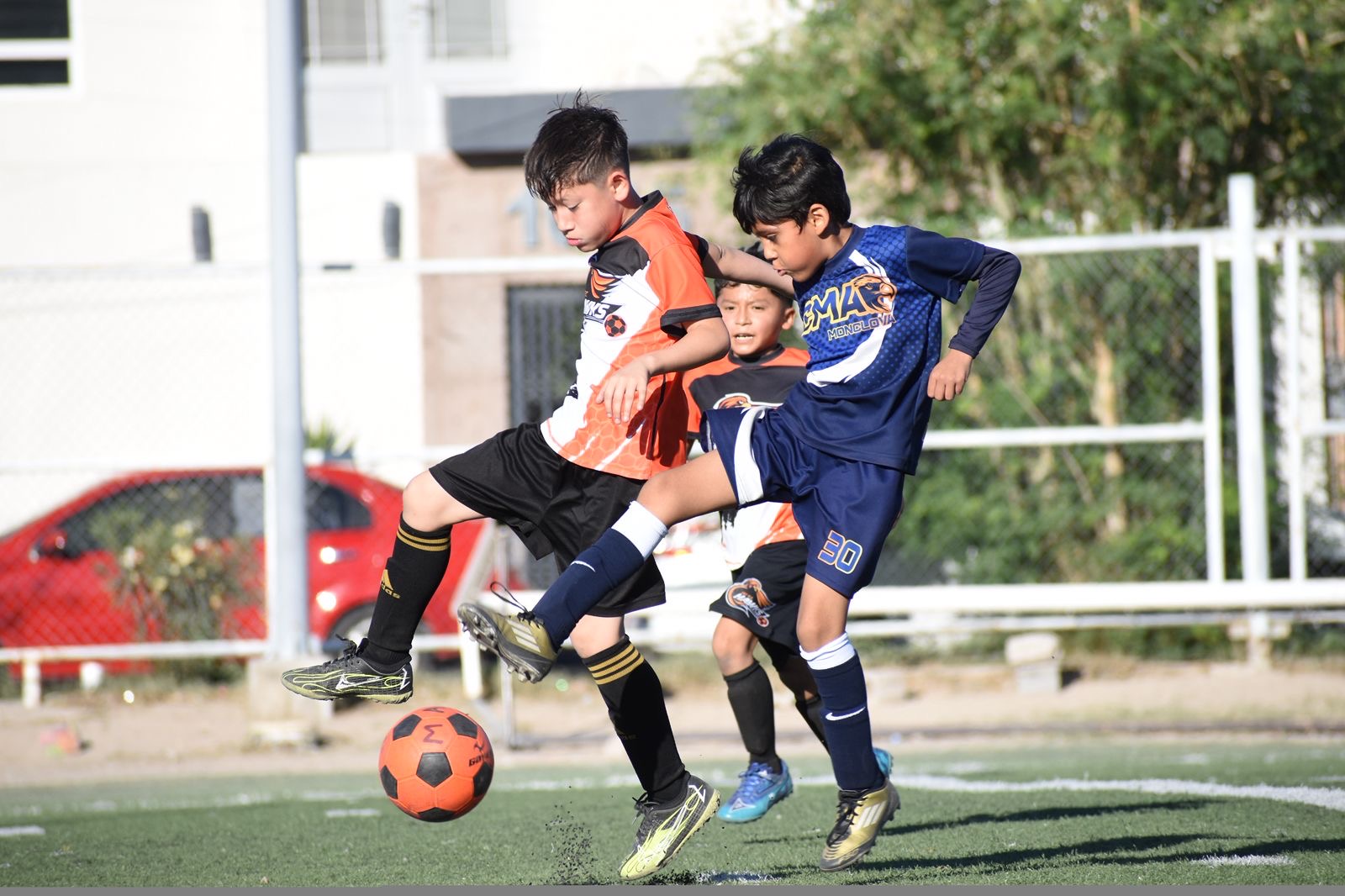 Fútbol